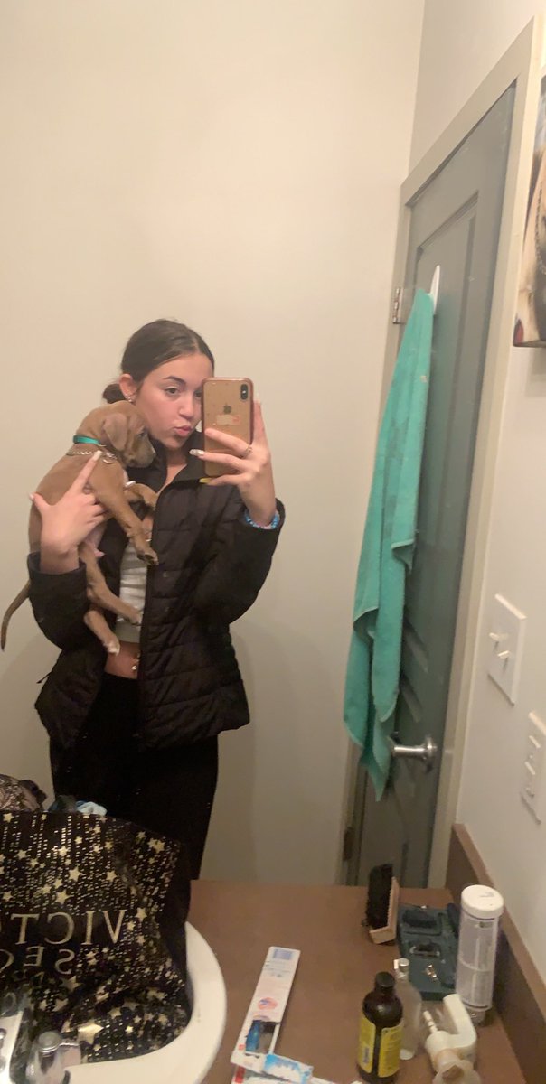 mckaaayla91's tweet photo. Someone is claiming that my PUPPY IS THERES! Please help in any way that you can! I’m so hurt off this. I just want my baby back🥺 https://t.co/gmUIzfNESu