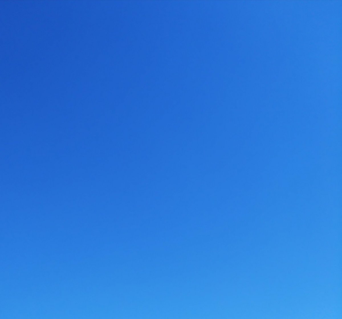 DPmk290629's tweet photo. 青🌏💙

おはようございます🌞 https://t.co/SOVVmYzQQb