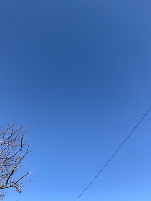おはようございます。  雲ひとつない空ですごく綺麗☺️  お外出てみてー！ https://t.co/CkQhH6HW3G<a href="/tag/icl"class="tags"><span>#icl</span></a><a href="/tag/%E3%82%A2%E3%82%A4%E3%82%AF%E3%83%AA%E3%83%8B%E3%83%83%E3%82%AF%E6%9D%B1%E4%BA%AC%E3%82%B5%E3%83%94%E3%82%A2%E3%82%BF%E3%83%AF%E3%83%BC"class="tags"><span>#アイクリニック東京サピアタワー</span></a>