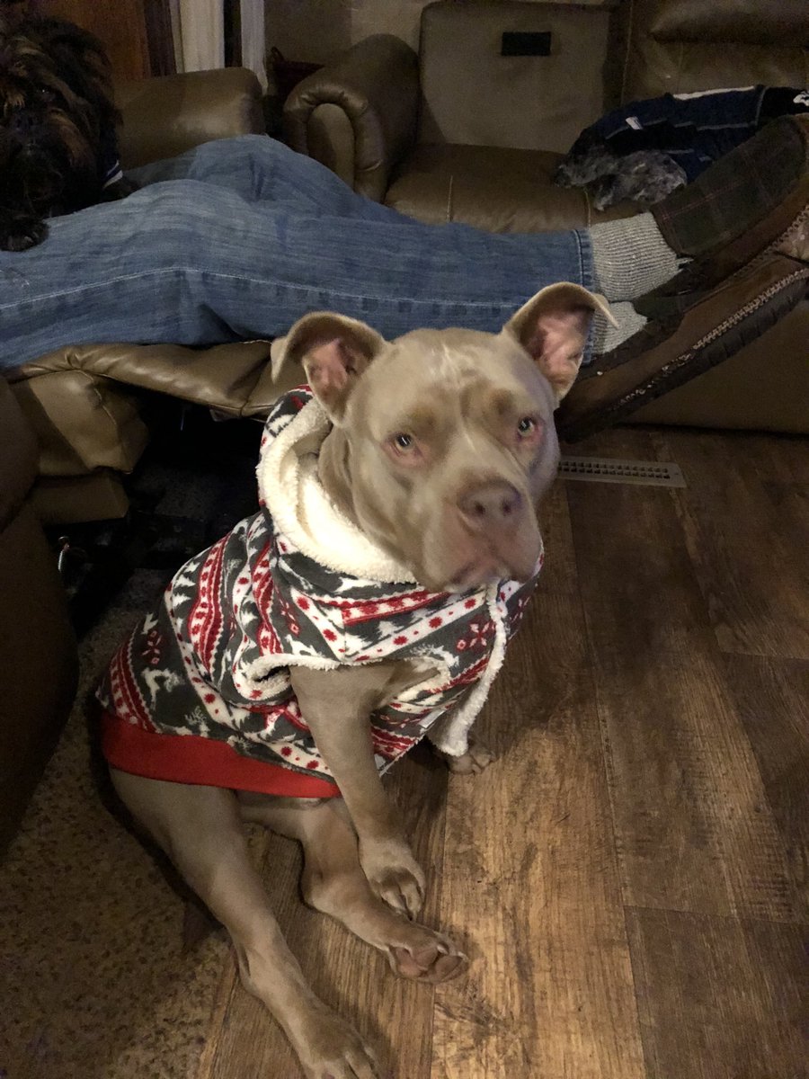 Venzi5Ventura's tweet photo. Someone got jealous Lou & Jack got their jerseys in...
#SweaterTime
#OutOfJerseys https://t.co/Jecm1jEs45