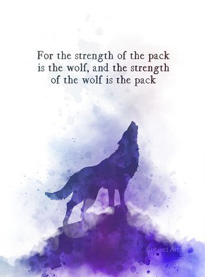 Cate Fulcher (@kindredraven) on Twitter photo 