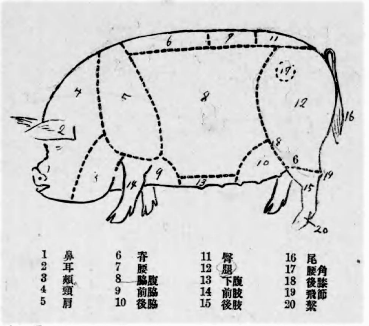 大正12年の「新シキ豚ノ飼方」の図。
ファンシー化されてない豚の顔の味わい。
Tシャツに刺繍したい。 