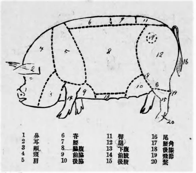 大正12年の「新シキ豚ノ飼方」の図。ファンシー化されてない豚の顔の味わい。Tシャツに刺繍したい。 