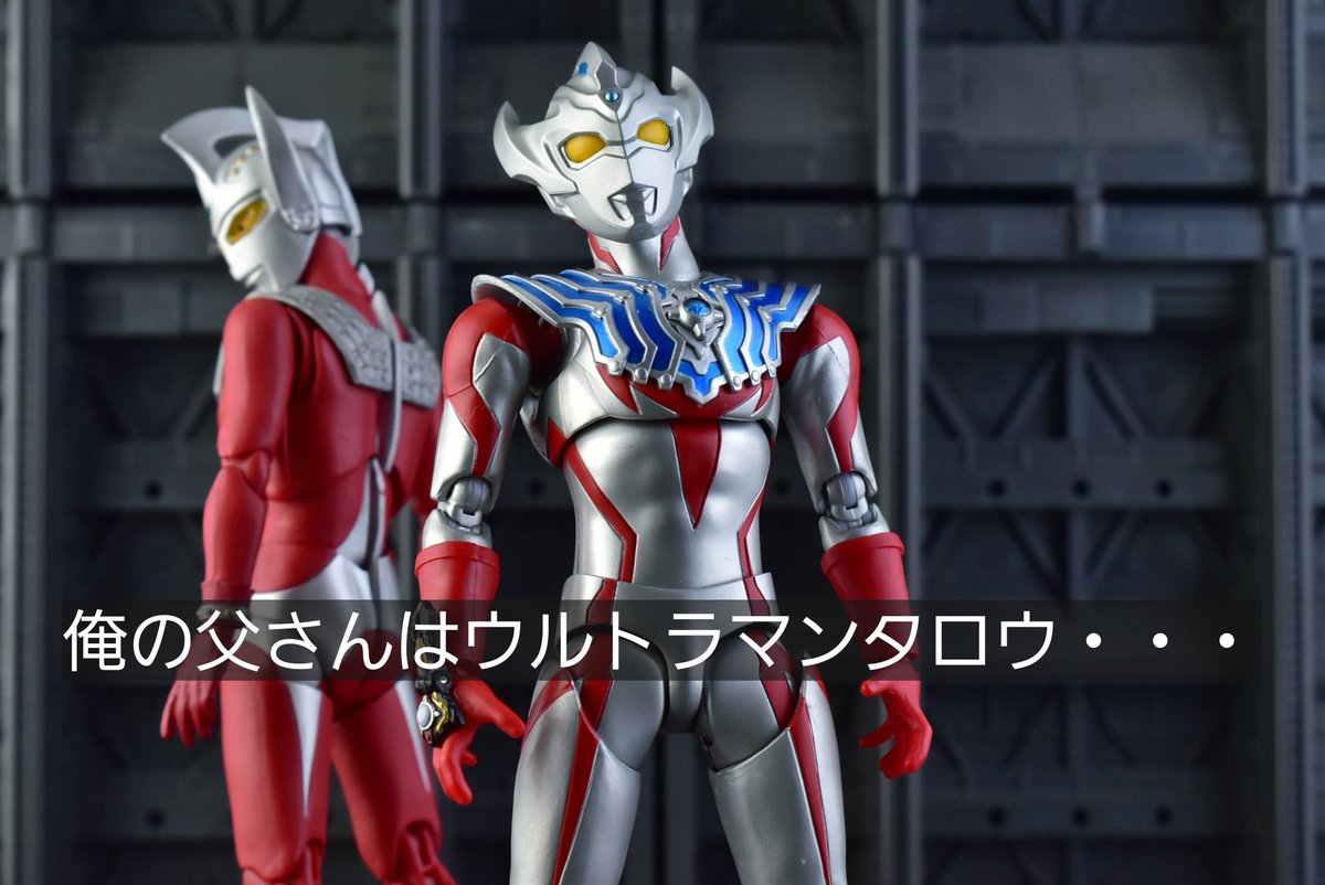 ナード 義理のいとこ フィギュアーツ写真部 フィギュア撮影友の会 ナード写真日記