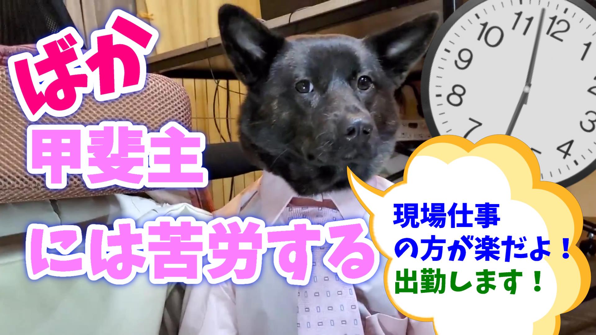 犬とおばけごっこ Twitter Search Twitter