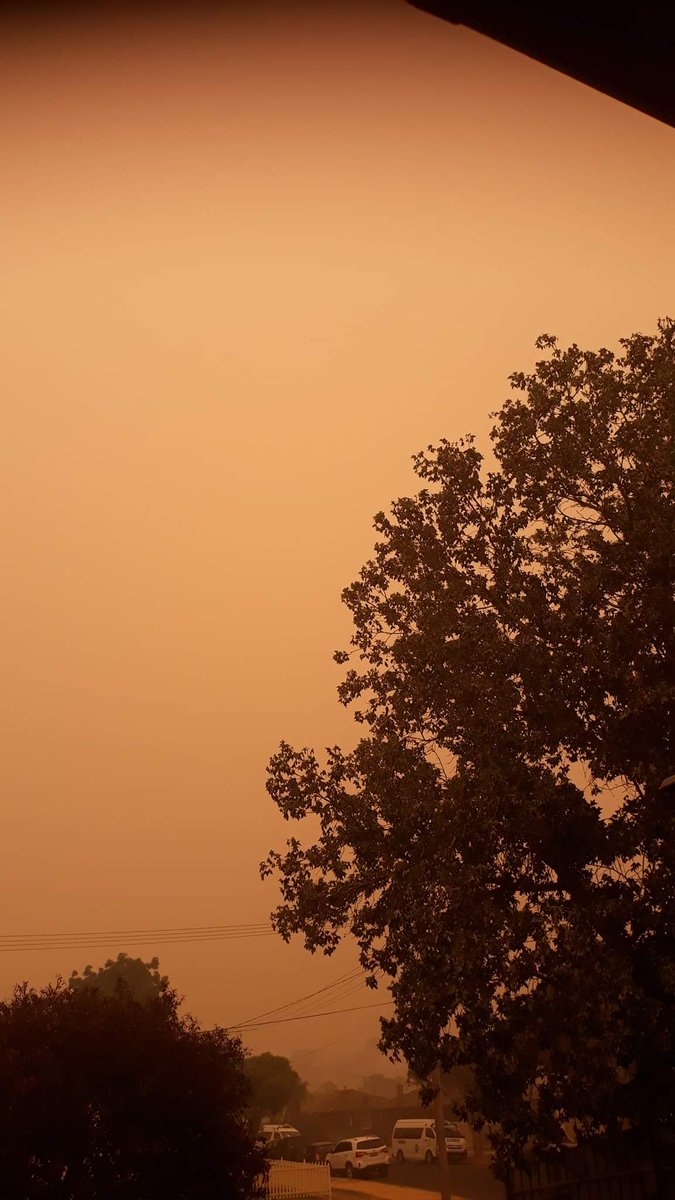 SarahElle18's tweet photo. The colour of our skies from bushfire smoke. The smoke is everywhere, choking us, even inside our homes. Still, I'm lucky that fires haven't reached our doorstep just yet.  

#bushfirecrisis #bushfires #bushfireaustralia https://t.co/bGCSy2DYzP