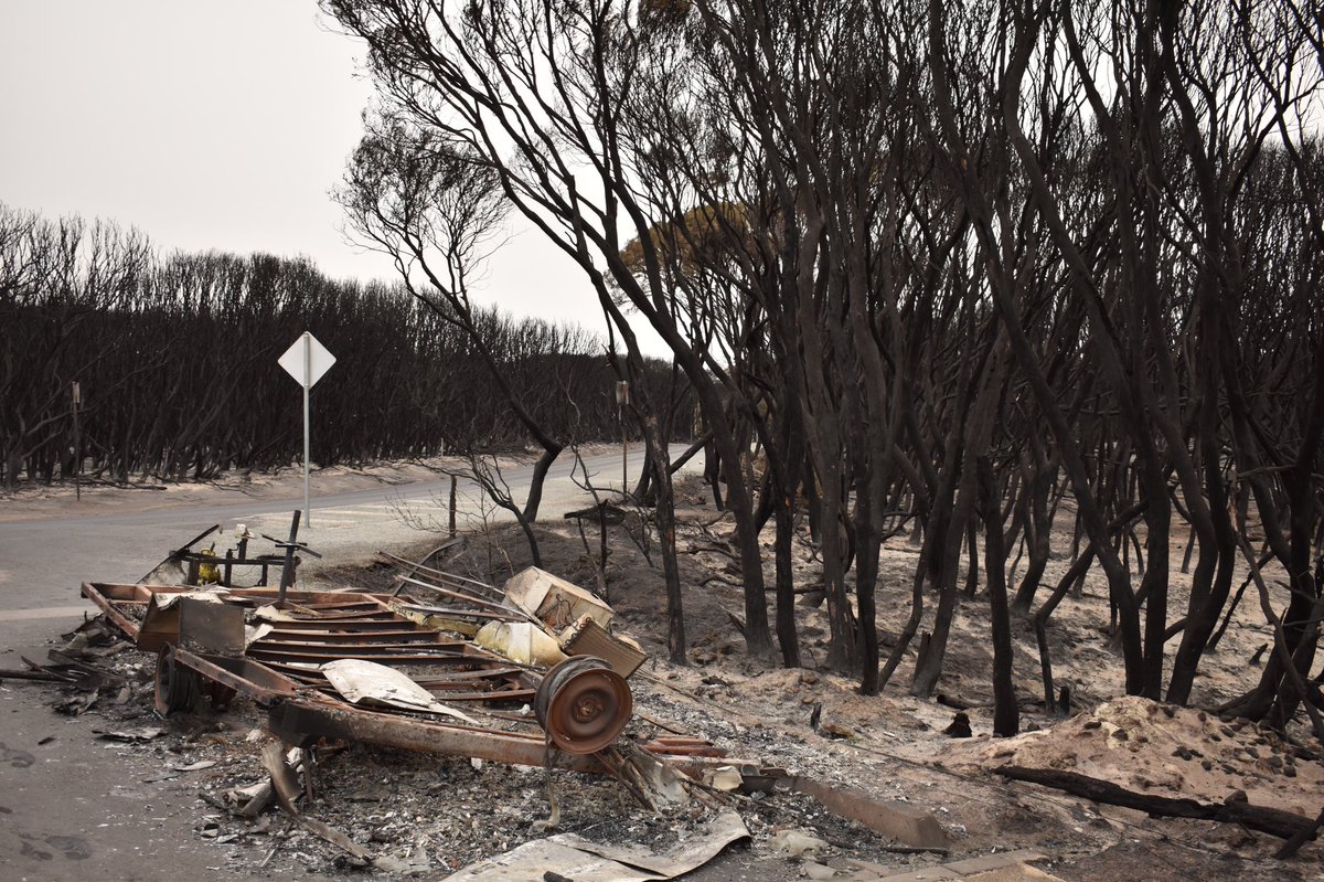 bangleslaura's tweet photo. The Earth is angry. 
You can see it hurting. 
The road will soon be closed forever to make a change. 
Let these fires be a lesson to us all, not just now in this grave time of need but for our uncertain future. #Mallacoota #bushfires #AustraliaBurns #ClimateEmergency https://t.co/l9wkCDxA2X