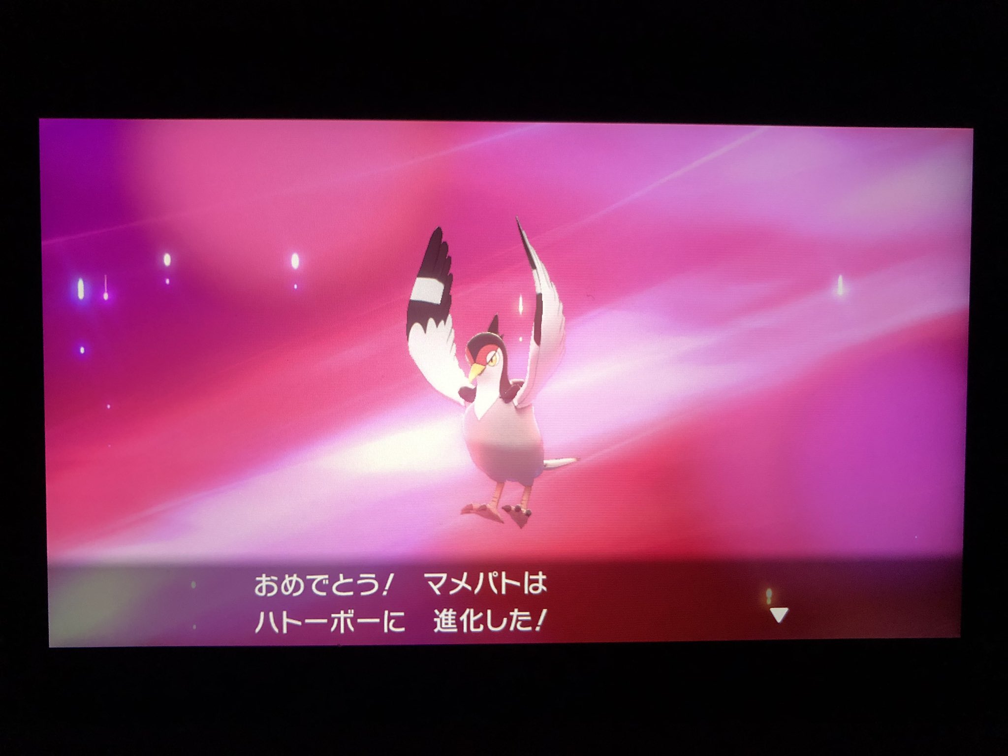 フカヒロ Pixivリクエスト４作目納品 No Twitter アキラのガラル冒険記 ああっ 色違いに初遭遇した 色違いハトーボー めっちゃ緑だな まるで半透明の緑をテクスチャに重ねたみたい 是非ゲットしたかったが 天候が悪かった 中々ボールに入らず