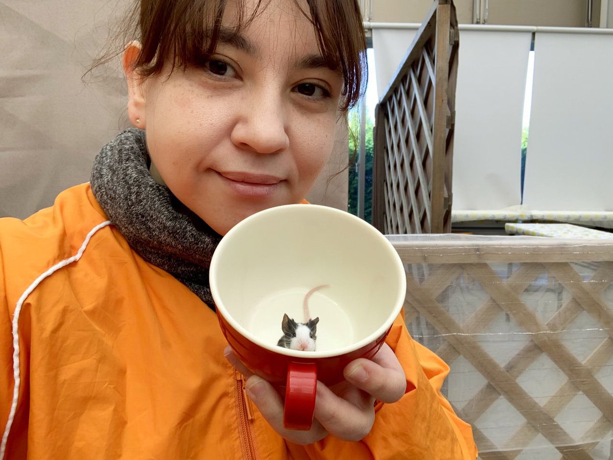 里奈 らんち4 このあと12時からはスタジオ星野藍ちゃんリポート石橋里奈でお送りするどこラジだよー 動物大好きな私 取材楽しすぎる 笑 どこラジ かずさエフエム らんち4 うぇいく4