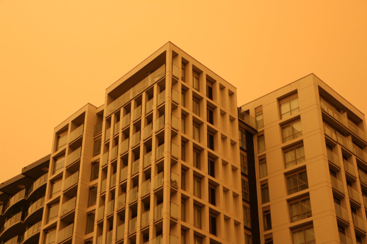 radionz's tweet photo. More images from central Auckland, as a strong northwest wind brings smoke from Australia.

Images by @KatieDoyle01 | Read more here 🔗 https://t.co/llGYC9hLcB https://t.co/91bJmjkZ2j