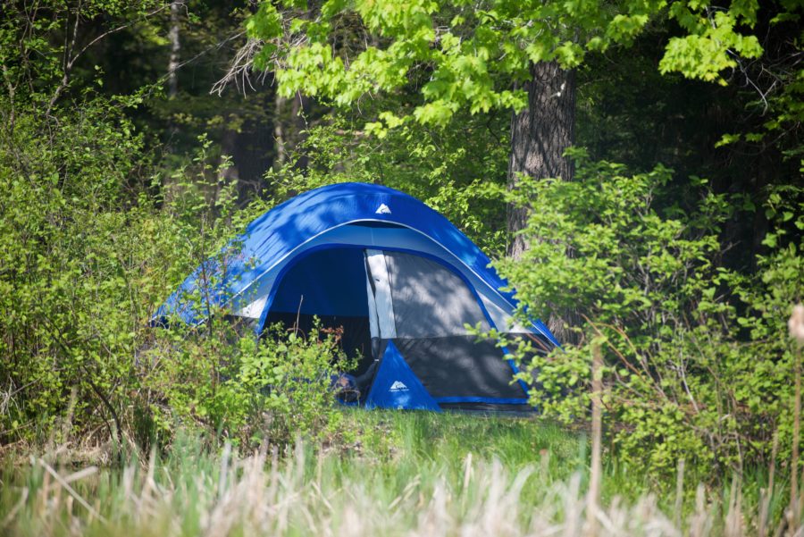 OntarioParks's tweet photo. Here are 10 actions you can take to make a difference in your life, and in the health of parks: https://t.co/FBFYoa00GD https://t.co/B1wmNTTR1e