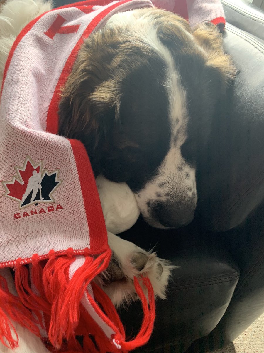kimeaster's tweet image. @HockeyCanada #WorldJuniors My human is back to work tomorrow.. I is sad she cannot watch the game with me 🇨🇦🏒