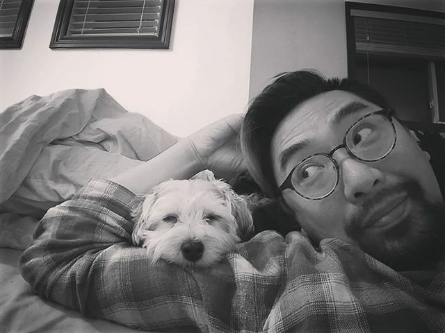 howardwong1's tweet image. Someone decided I made a good pillow.
.
.
#lifewithadog #dogsofinstagram ift.tt/39DrAfv