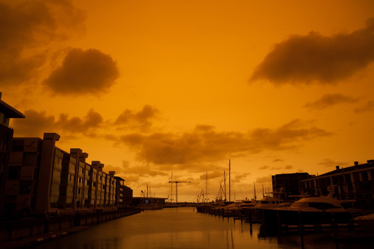 GalaGeorgette's tweet photo. Took these in Auckland city, New Zealand at 3pm today. The smoke from the #AustralianBushfire shrouding everything in orange. https://t.co/tgoRx4I11v