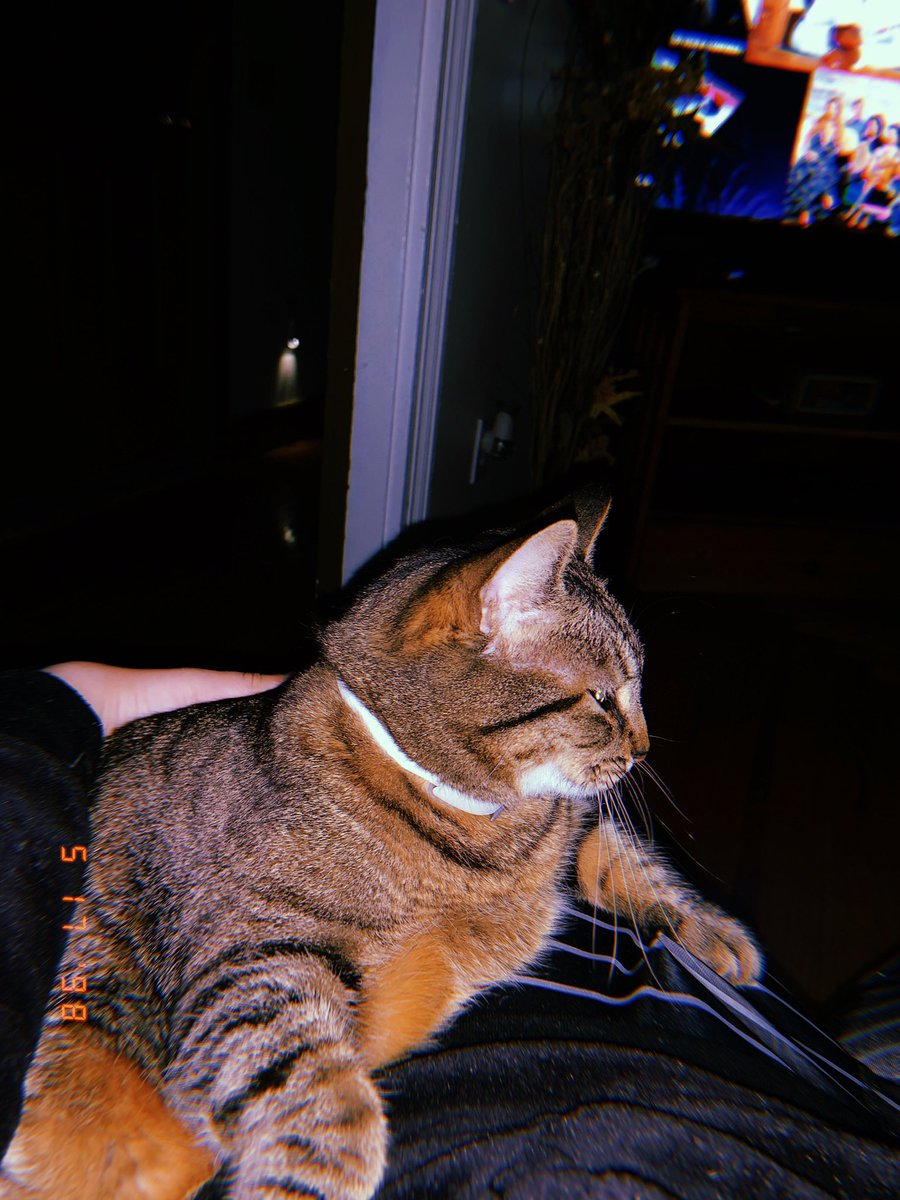 nothonkingkei's tweet photo. @KonekoKittenYT He go uwu whenever I kiss him https://t.co/UGwly2I99Q