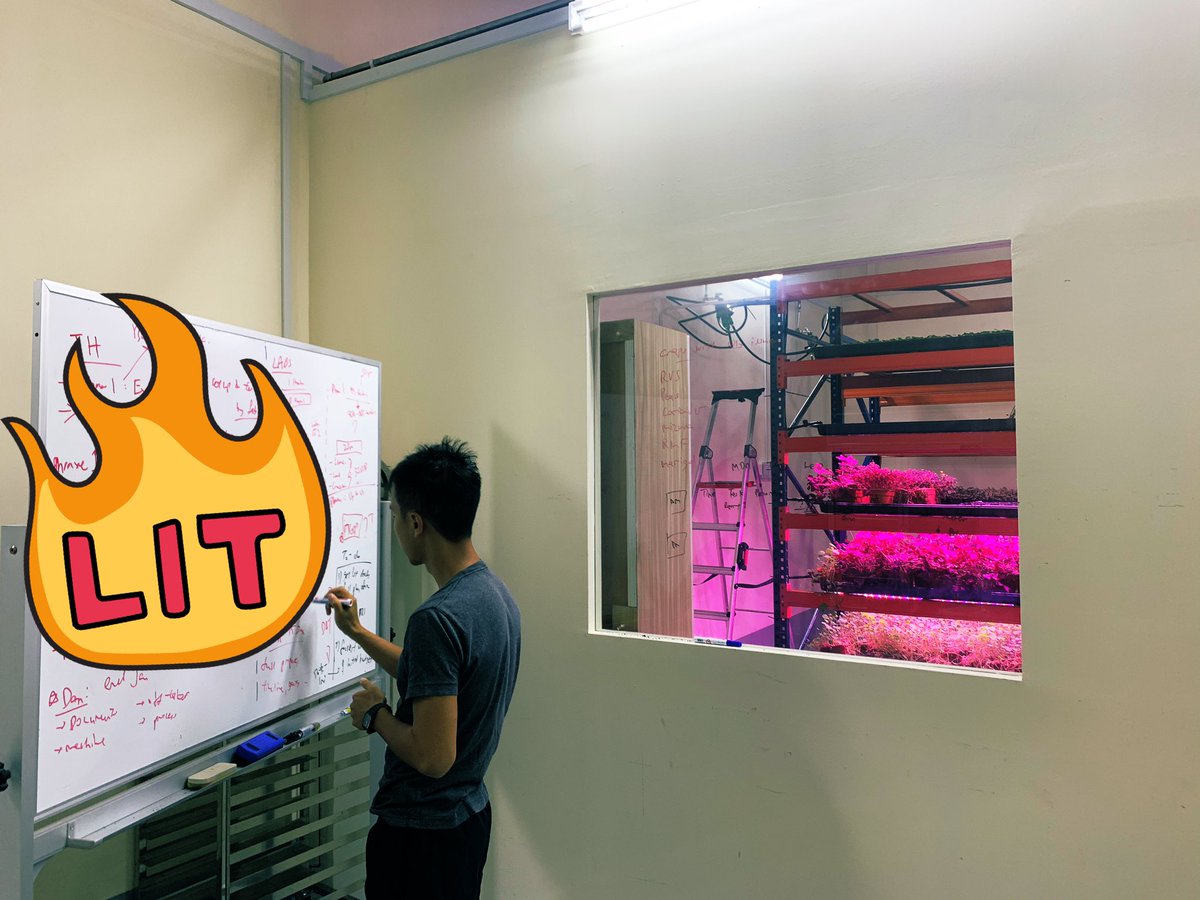 Hustling over the weekend to prepare the growing pipeline for this year #2020
#sustainable #agriculture #sayrisunion  
#sg #VC