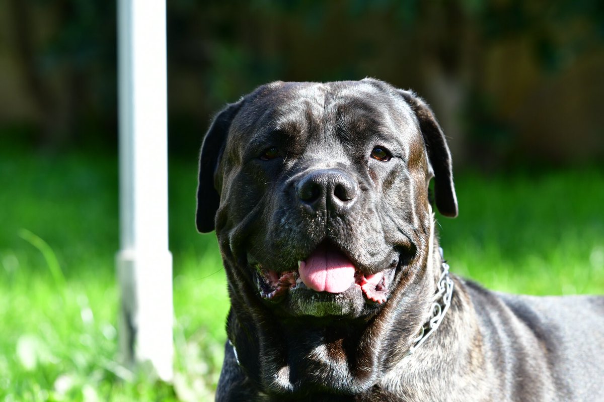 misterFarrakhan's tweet image. Yo check my niggah smile tho.