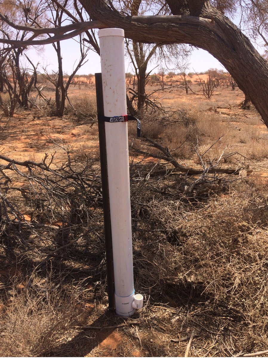 AridRecovery's tweet image. Anyone wanting to help wildlife after bushfires - here's a simple cheap design for a 'water fountain'. Can be made from hardware store stuff. They limit evaporation, lasting 2 weeks in 40+ degrees here and making a real difference for our drought affected animals. #AustraliaFires