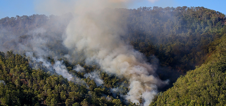 ANZ pledges $1 million for bushfire relief
bit.ly/ANZ-1m-bushfir…