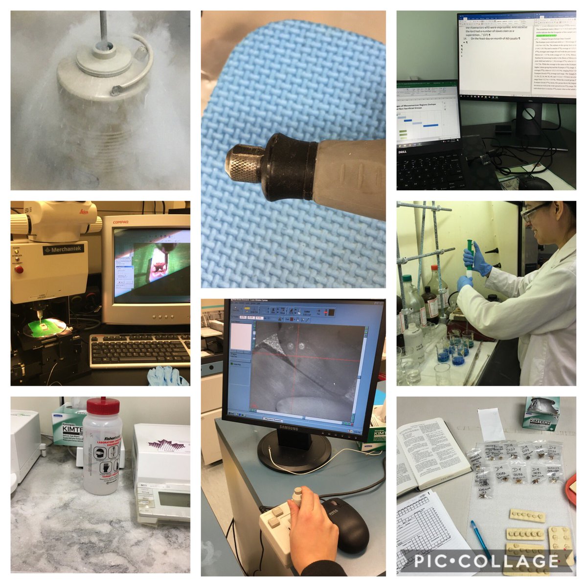 dimorei's tweet photo. #archaeology31
Day 3: Tools of the trade
As a #Bioarchaeologist I use many tools depending on the task: liquid N2, a micromill to extract enamel, a microscale, a Dremel tool to cut bone, a laser (call me laser woman!), Excel/Word, pippets & chemicals, tooth casts 2 assess traits https://t.co/aBBLKQDcDu
