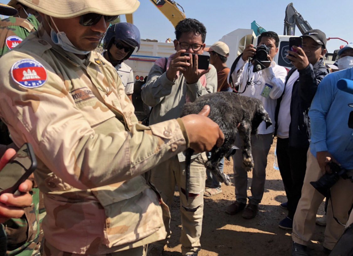 A dog was rescued by rescued team from collapsed building in #Kep province on Jan 5 as third day as rescuing the victims by #Cambodia authorities