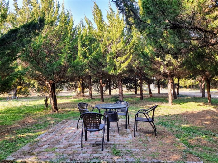 [moi] 사색의 시간이 필요하면 여기 어때요?  omn.kr/1m7lx #모이 #구례 #구례정원 #구례가볼만한곳 #천개의향나무숲😉moi는 일상의 이야기를 누구나 쉽게 나눌 수 있는 공간입니다