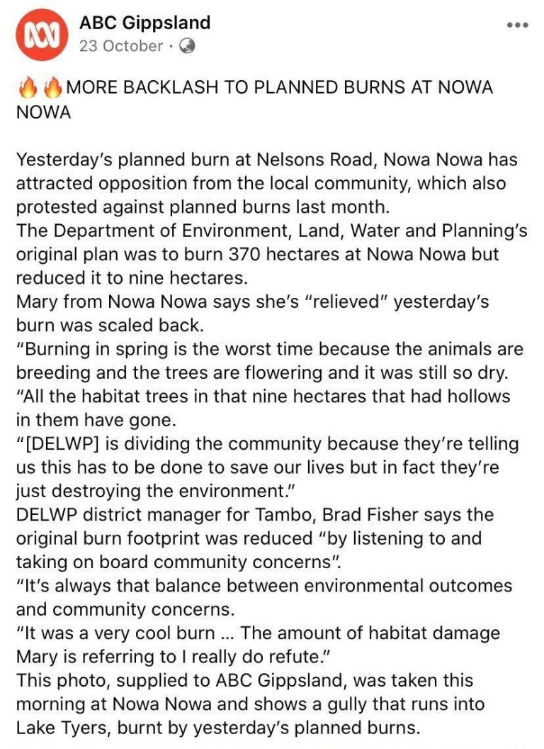 PaulMBrisbane's tweet photo. @Tommo8699 @AdamBandt #qldpol wont be dumping our coal industry workers on the scrap heap anytime soon and we have a PM who won't let it happen @overthelies2010 Meanwhile @Greens wave posters and chain themselves to bulldozers #NowaNowa fires now at emergency level #ItsTheGreensFault https://t.co/BKTl9raHKe