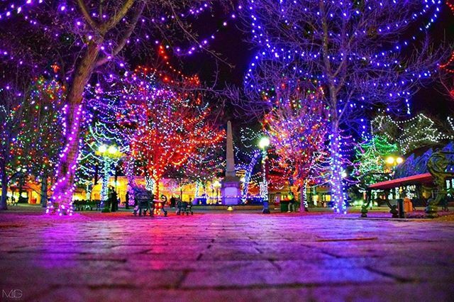 How are you spending the first weekend of this new decade? ✨

Thank you @mjgphoto505 for sharing this great shot of the lights on the Santa Fe Plaza with us! ⁠
⁠
⁠
#simplysantafe #santafenm  #travelnm #santafe #santafeplaza bit.ly/2ucRR3Y