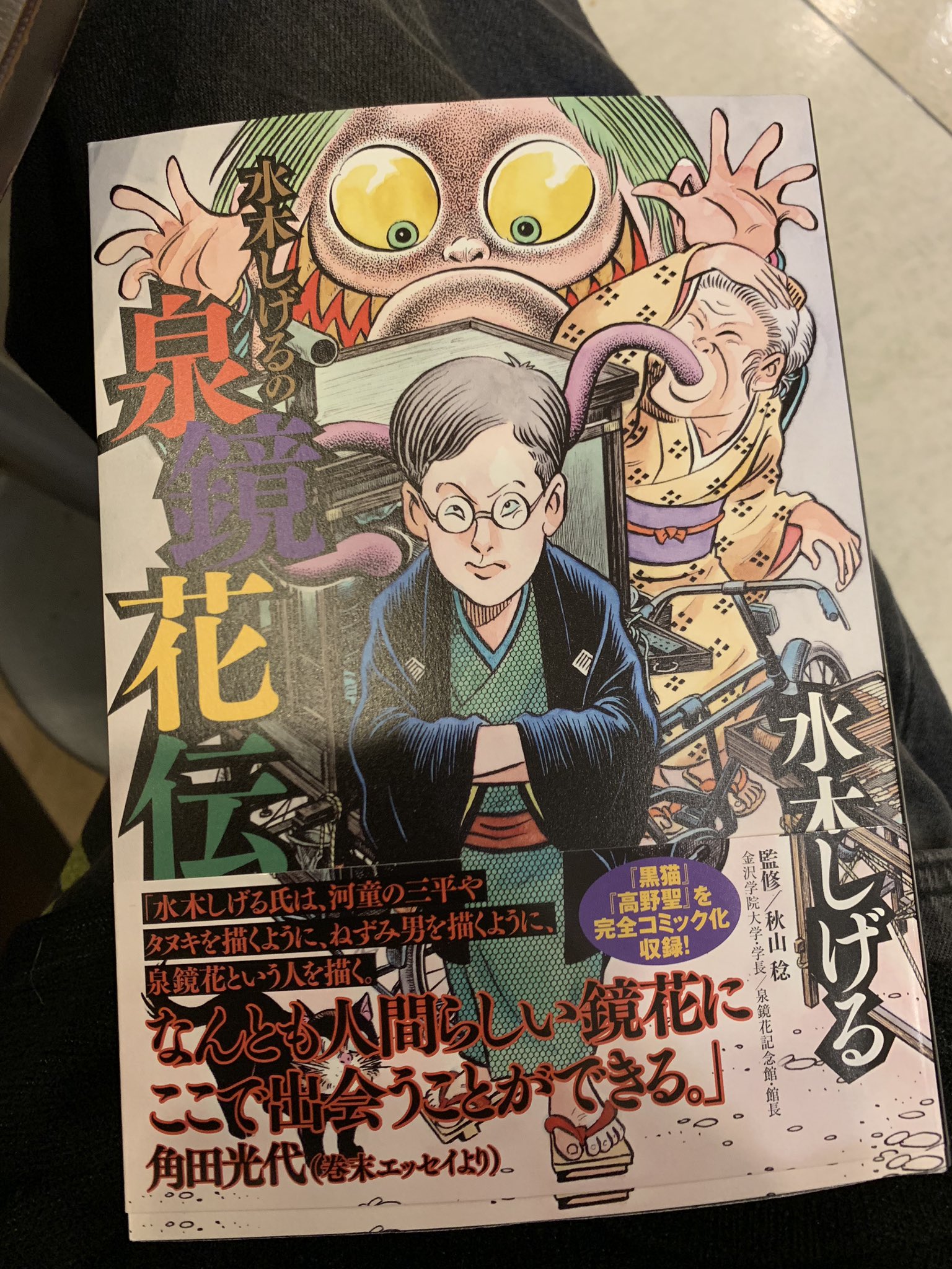M 番外編 水木しげる 泉鏡花伝 秋山稔監修 小学館 名作 黒猫 高野聖 が 劇中劇として漫画化されている