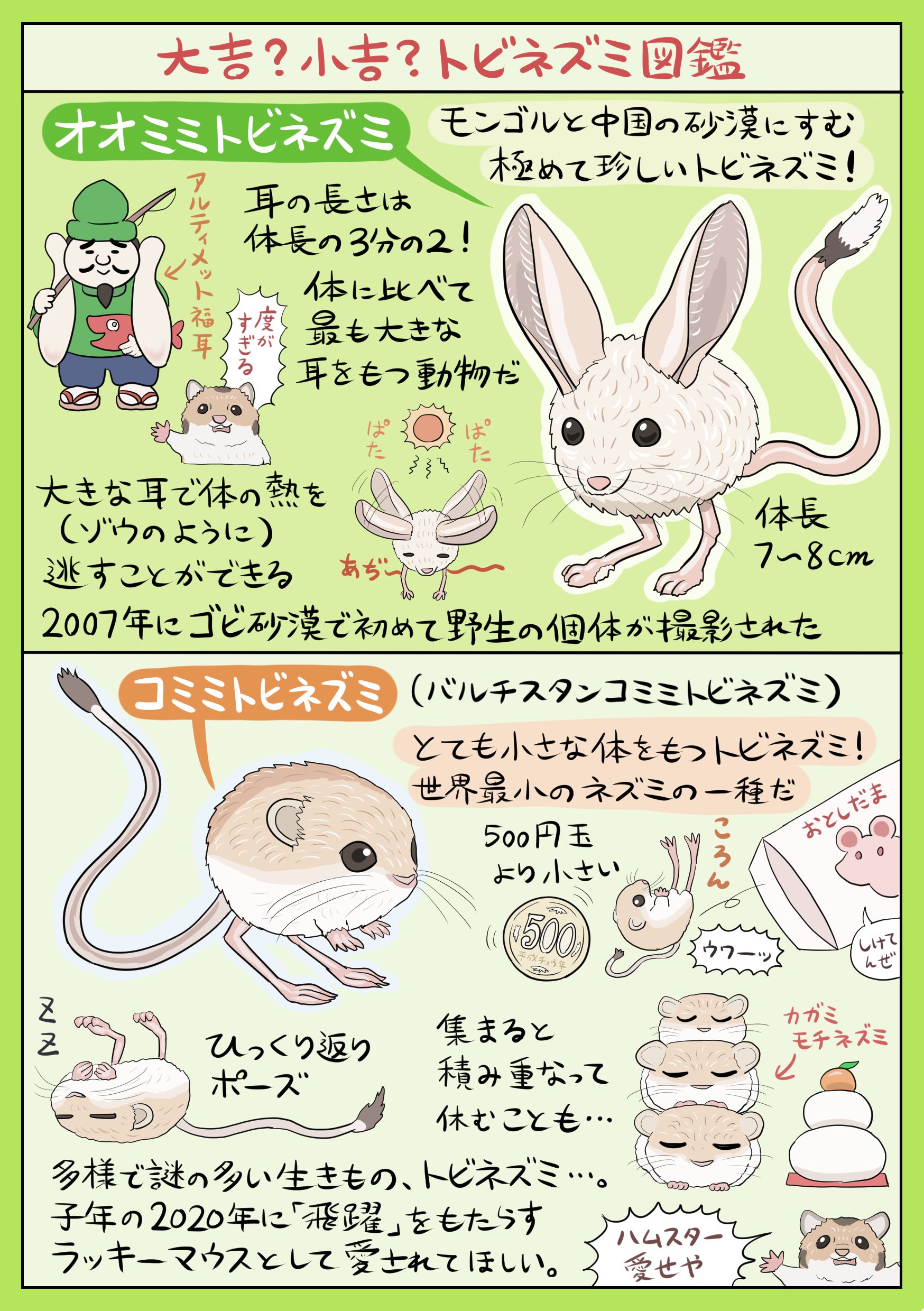 تويتر ぬまがさワタリ على تويتر ネズミイヤー A K A 子年 の幕開けを祝して 私の推しネズミ トビネズミ の図解を描きました 明けたからって何がめでたいねんって感じの不穏なご時世ですが ジャンプが得意なラッキーマウスが皆さんの１年に飛躍と幸運を
