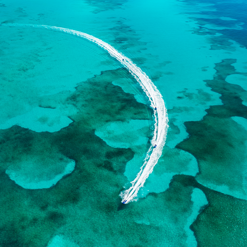 MSCCrucerosESP's tweet photo. ¿Listos para explorar las impresionantes aguas turquesas de #MSCOceanCay?
 ¡Descubre todo lo que te espera en el paraíso con #MSCExcursiones!   https://t.co/Yax4rSpMFY https://t.co/Cdwkp097TL