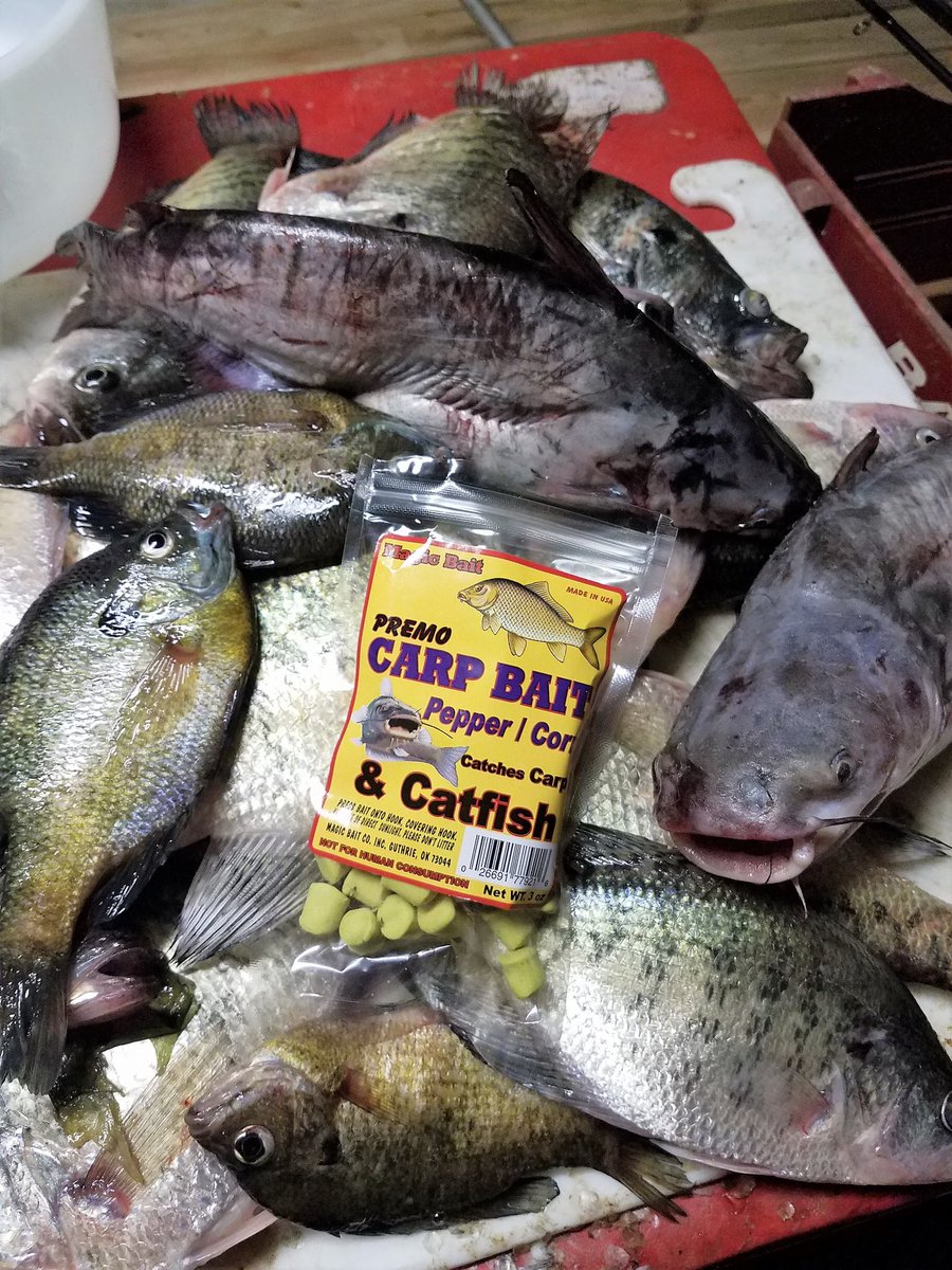 Magic Bait Co. tweet media