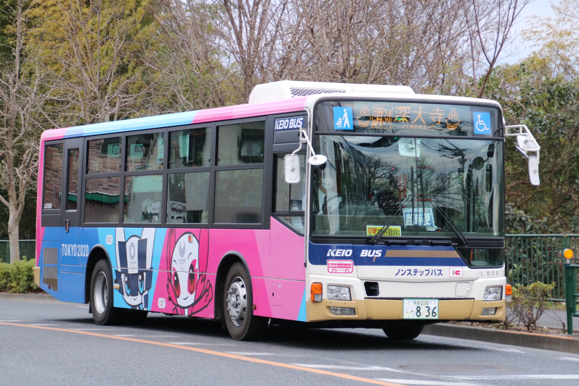 バステープ 71TcLpz1zZL.jpg_BO30,255,255,