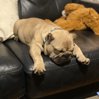 #NewProfilePic