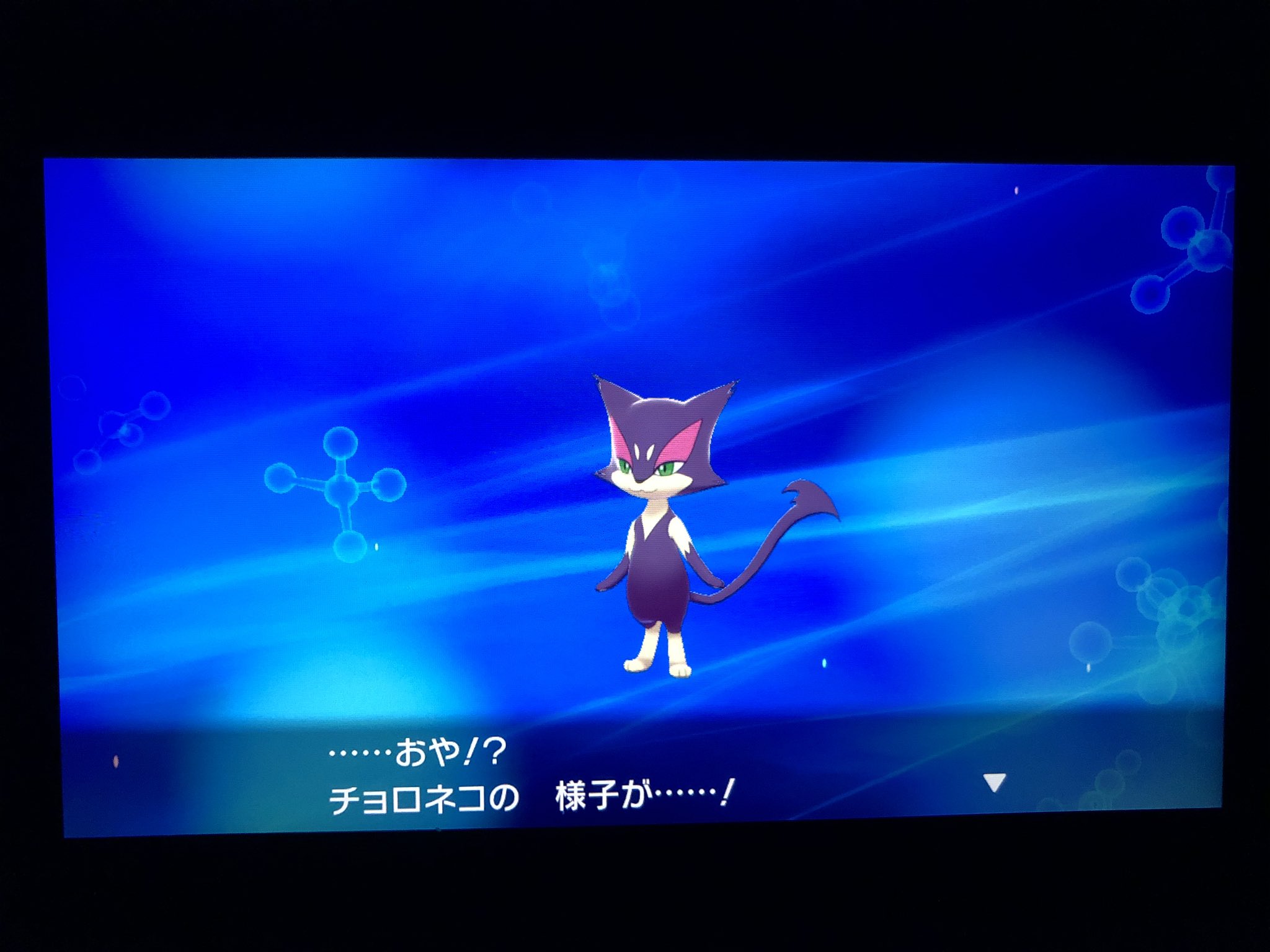 フカヒロ Pixivリクエスト４作目納品 アキラのガラル冒険記 チョロネコがレパルダスに進化 する 実は図鑑のおすすめが変わっており これで一回コンプリートした だけどまだまだワイルドエリアでゲット出来る進化形のポケモンを求められるので 進化