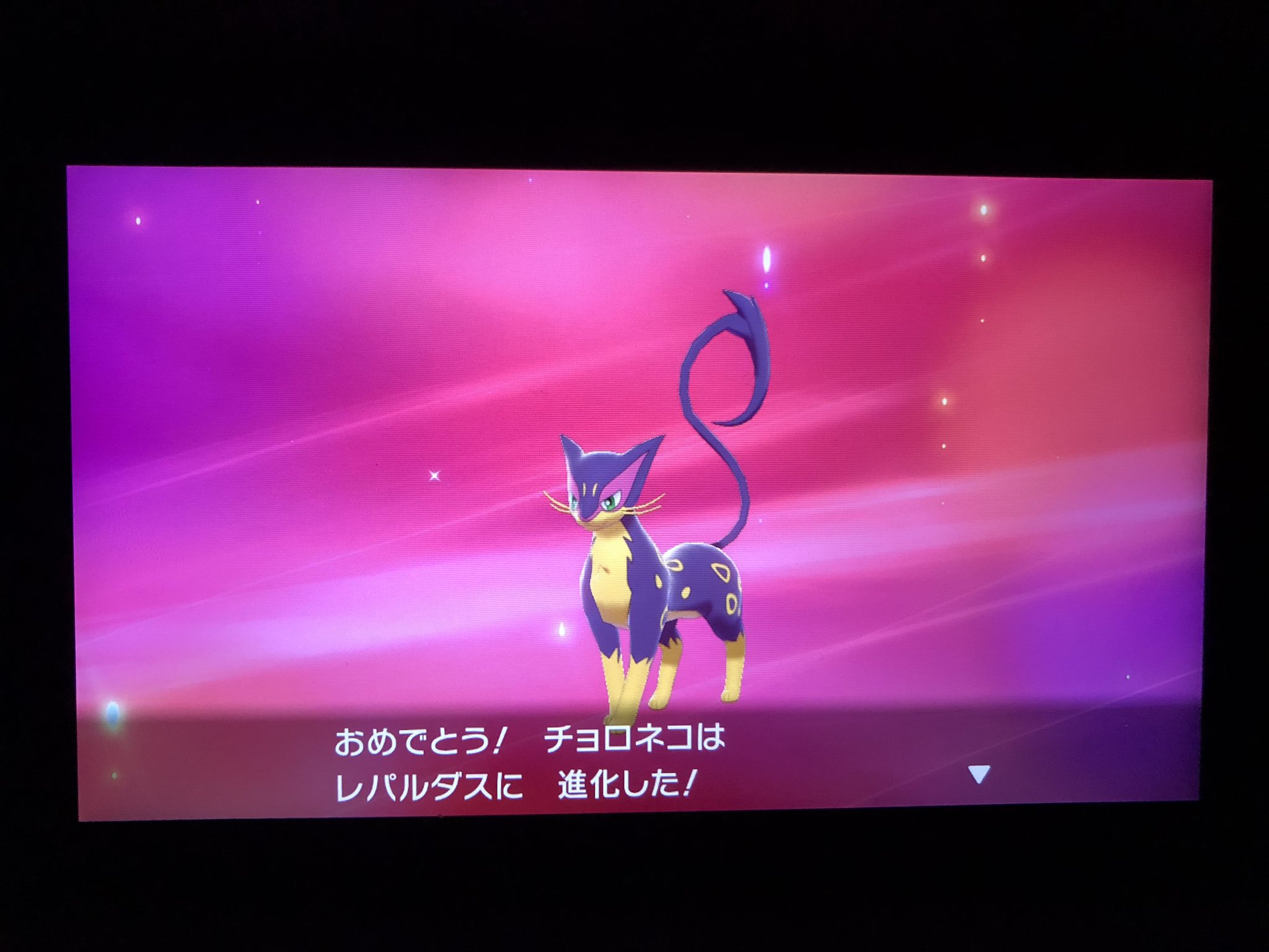フカヒロ Pixivリクエスト４作目納品 アキラのガラル冒険記 チョロネコがレパルダスに進化 する 実は図鑑のおすすめが変わっており これで一回コンプリートした だけどまだまだワイルドエリアでゲット出来る進化形のポケモンを求められるので 進化