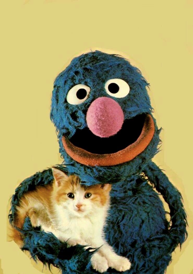 RT @HistoryMuppet: Grover and a kitten.

You’re welcome. https://t.co/VvdpPKv6HH