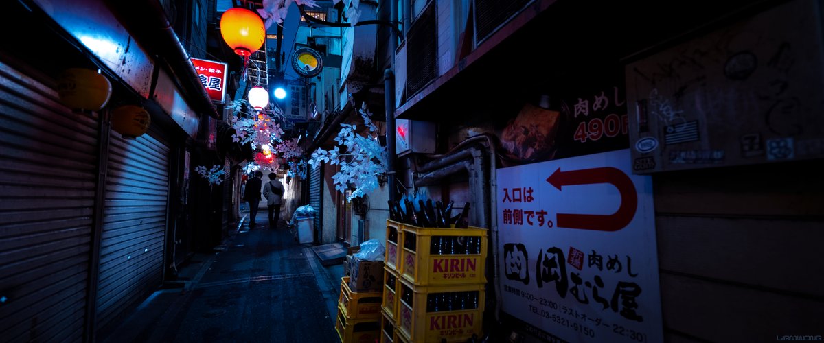 Photography by Liam Wong of Tokyo at night. The narrow alleyways of Omoide Yokocho - except it is captured at 3am when all of the small izakaya restaurants are closed. The alley is decorated in white flowers which represent the season. They are wide angle images which demonstrate just how narrow the alley is. Silhouettes walk down the alley.