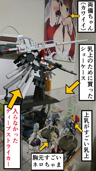 乳上のフィギュア買う(人生初フィギュア)
↓
調子乗ってフィギュアケース買う
↓
ネロちゃまのフィギュアも買う
↓
プラモデルもブッ込みたくなる
↓
ずっと欲しかったディープストライカー買って作る
↓
デカすぎてケースに入らない・・・悲しみ←今ココ 
