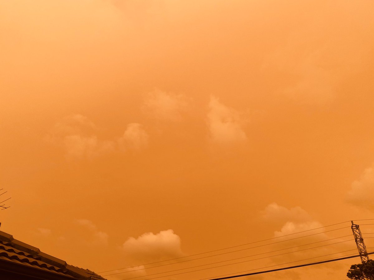monikaknott's tweet photo. Stuck in sepia. Oftewel Oranje boven in Nieuw Zeeland. #brandAustralië #NieuwZeeland https://t.co/3nsViVsXri