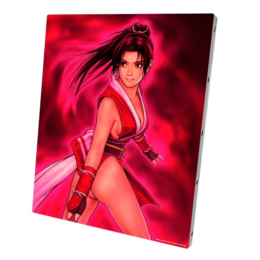 不知火舞 キャンバスボード