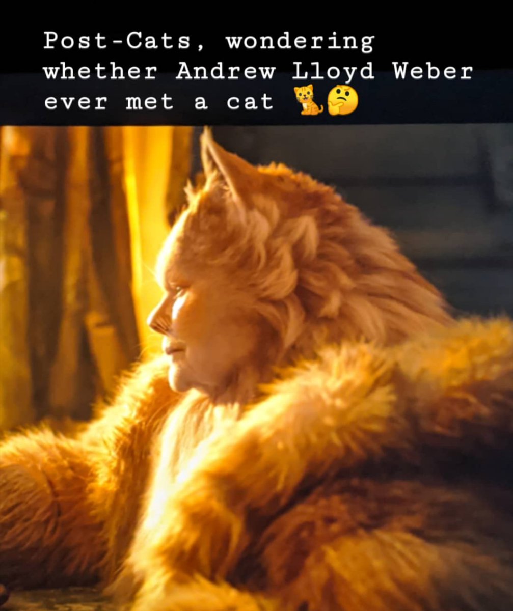 This is how my Friday night is going. How's yours?