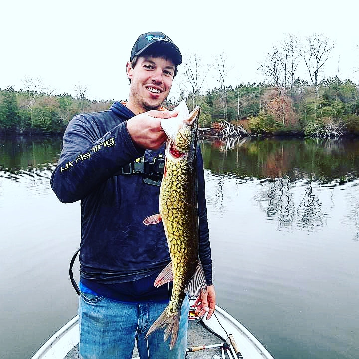 A Monster pickerel caught in last weeks video up on my yourtube channle! 🔥🔥🔥🔥m.youtube.com/channel/UCRMo0… #bubbavillebassin #bassfishing #youtubefishing #pickerelfishing #mosterpickerel #goprohero7 #duckettrods #lewsfishing #lewsspeedspool #teamlews #gammaline #gammafishing