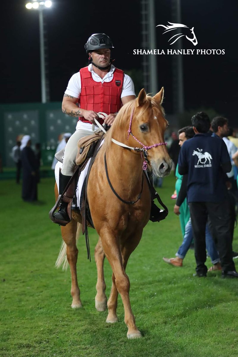 zaanthompson's tweet photo. Paladio working at only his second race meeting so proud of him doing so well #meydan #emiratesracing #emirates #mydubai #uae #sunsethalters #dwccarnival #dwcc2020 #horse #horsesofinstagram #horses #horseman #horsebackriding #horseracing 📸@shamelahanleyphotos https://t.co/184vw4BDt5