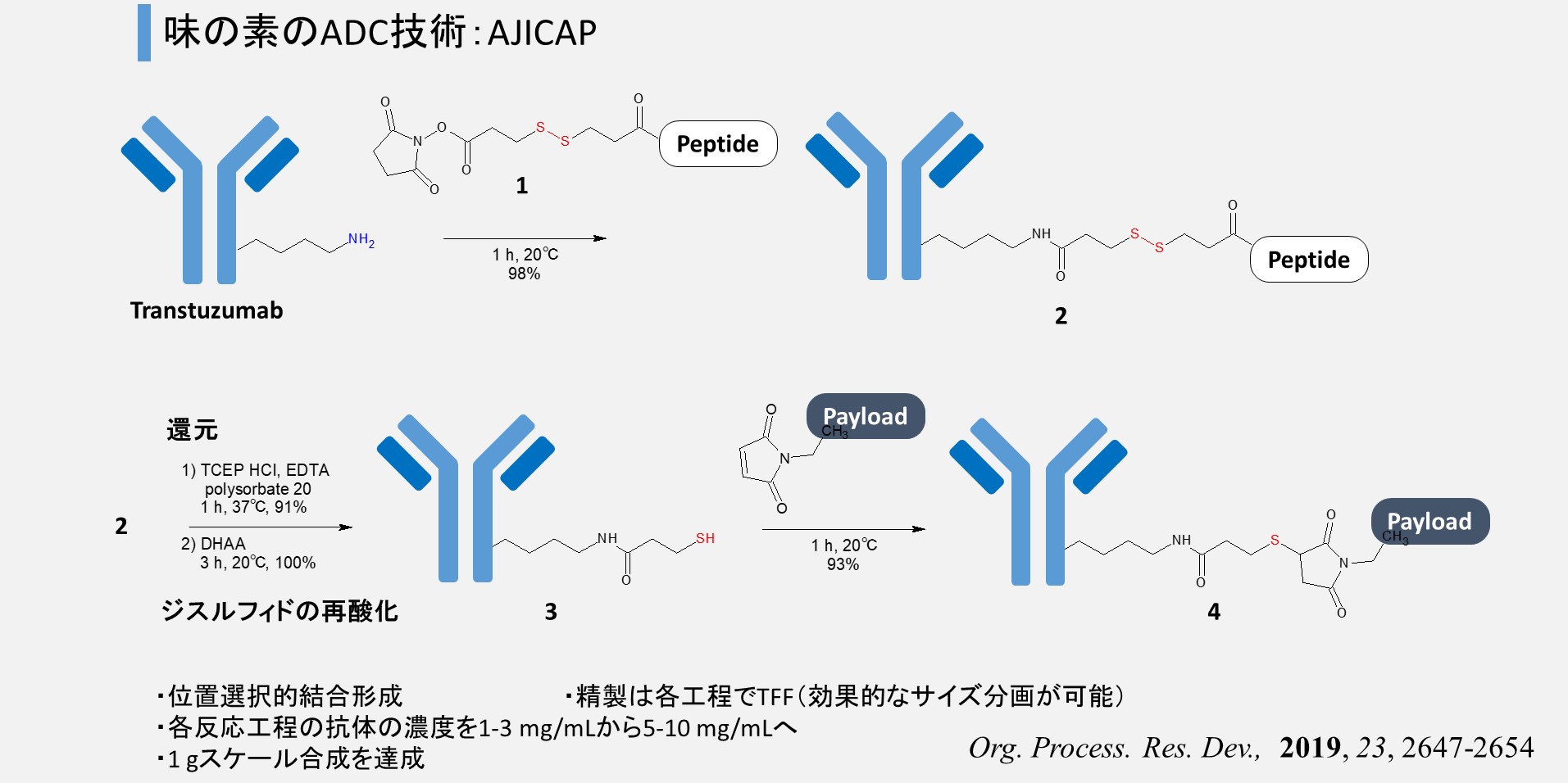 製薬・化学】企業のプロセス化学研究まとめ - 岡本ビブリオ