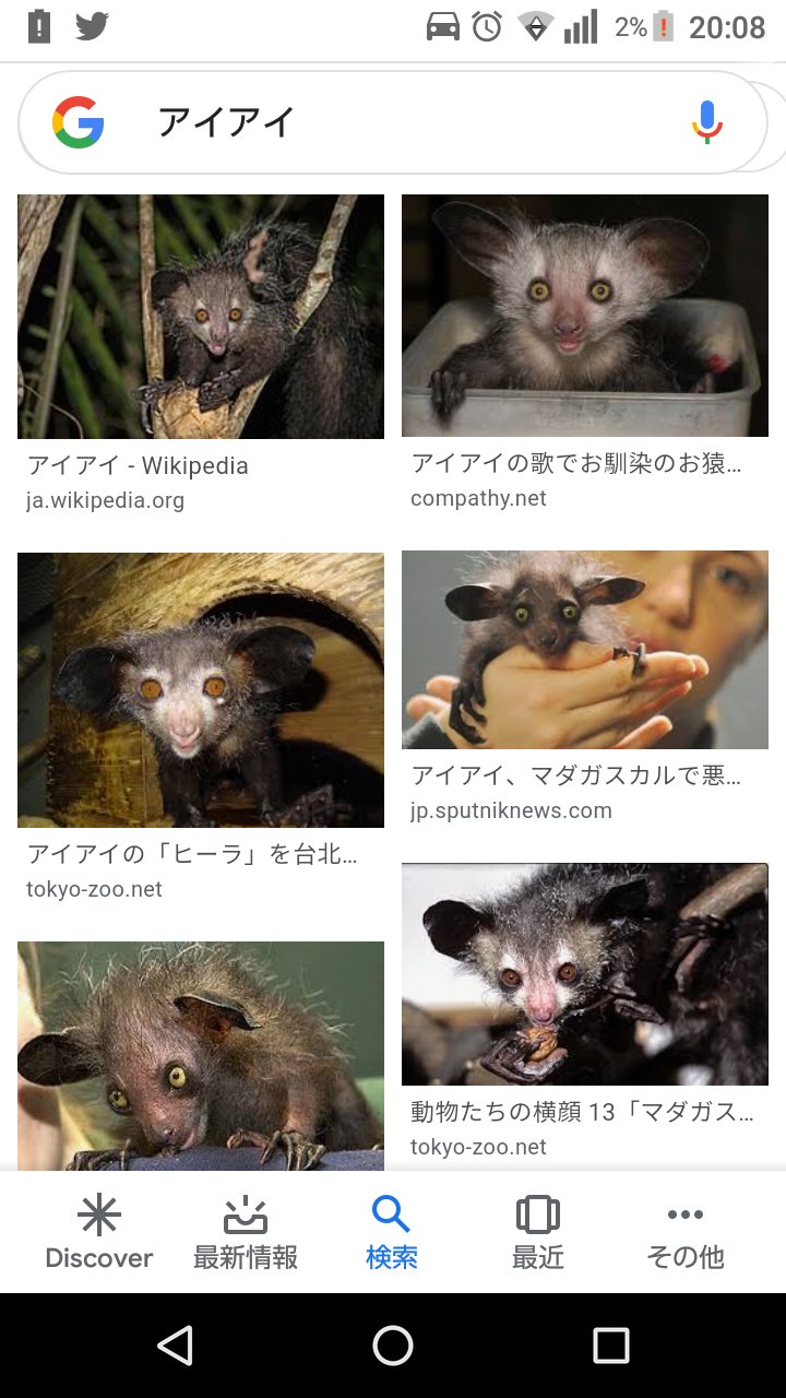 くま太郎 Twitterissa Za Zen0 Re I K 地元では悪魔の遣いと恐れられ 指をさされた場合 殺さないとアイアイを呪われると信じられているそうです そして数が減る W T Co Ukvrqybkqw Twitter
