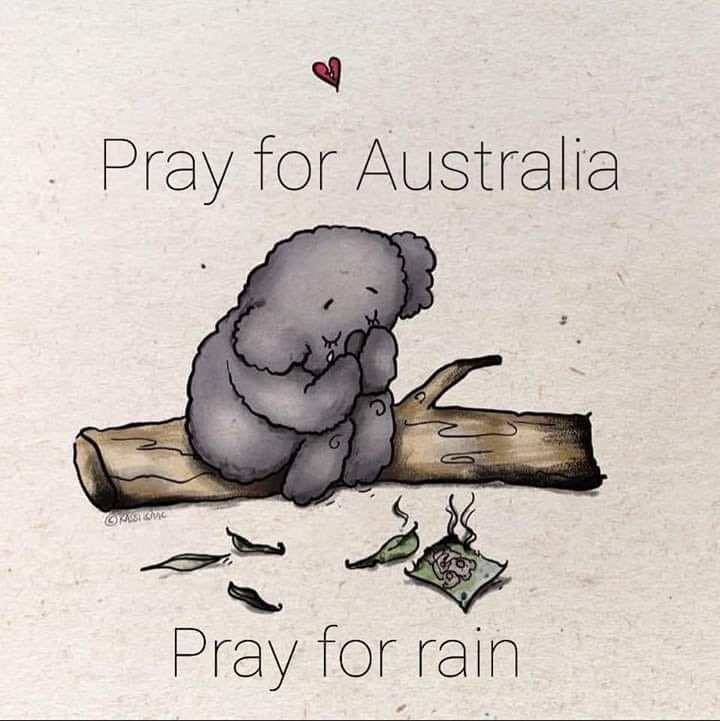 lauraaAmy_'s tweet photo. So devastating to see the fires raging in Australia, a place I call my home. Please donate in any way possible to help 😢🙏🏼 https://t.co/gKSJWADVjI