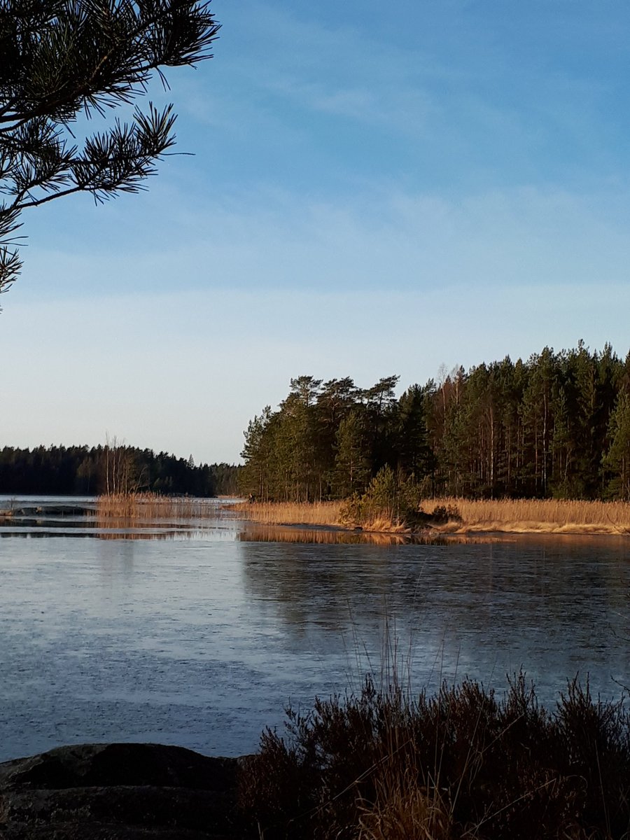 ArjaMastonen's tweet photo. Talvipäivän viettoa #Teijo #kansallispuisto. #Mathildedahl 🌞 https://t.co/fZ5k3a11Wq
