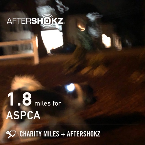 31° 🌬 gusty winds blowing yr furs back 🔦🐼🐾 1.8 @CharityMiles for @TeamASPCA. Thx @Aftershokz . #ShokzMiles charitymiles.org/aftershokz