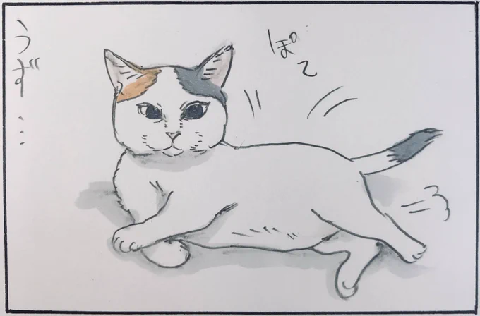 『思い出の引き出し⑧』 
